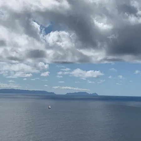 Helena Crystal Канису